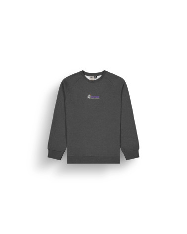 Picture Organic Meska Bluza Toanah Dark Grey Melange